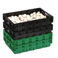 Nally 27L Mushroom Crate